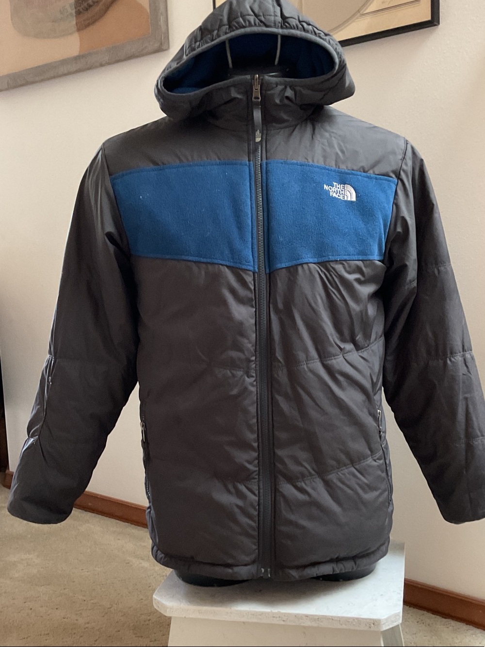 The North Face Reversible Jacket